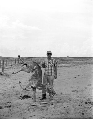 "Entrada al desierto"