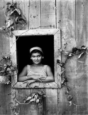 Sin título [Nerita en la ventana]