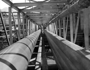 Sin título [Trabajador petrolero]