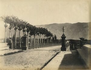 Sin título [Los Chaguaramos de Puente Hierro]