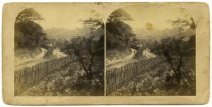 "Caracas. La Palomera"