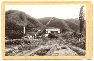 Hacienda caña de azúcar en los Valles de Aragua