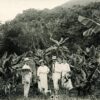 Siembra de plátanos, circa 1920: Álbum familiar ©Archivo de Fotografía Urbana