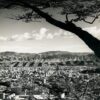 Vista parcial de Caracas desde el antiguo camino de los españoles, 1954: Graziano Gasparini ©Archivo Fotografía Urbana