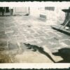 Caimancito en el patio de la casa, ca 1938: Fotografía de Álbum familiar ©Archivo Fotografía Urbana
