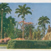 Plaza Tiuna, Caracas, circa 1945: Tarjeta postal Costa Salas ©Archivo Fotografía Urbana
